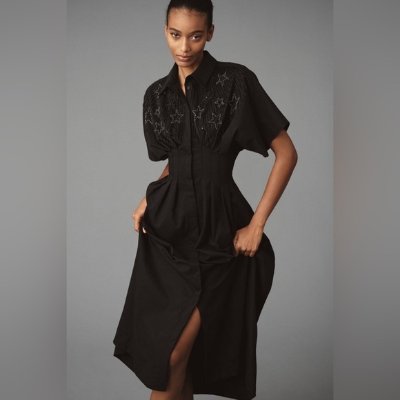 The Tobie Button-Front Pleated Shirt Dress: Embellished Edition - Picture 1 of 8